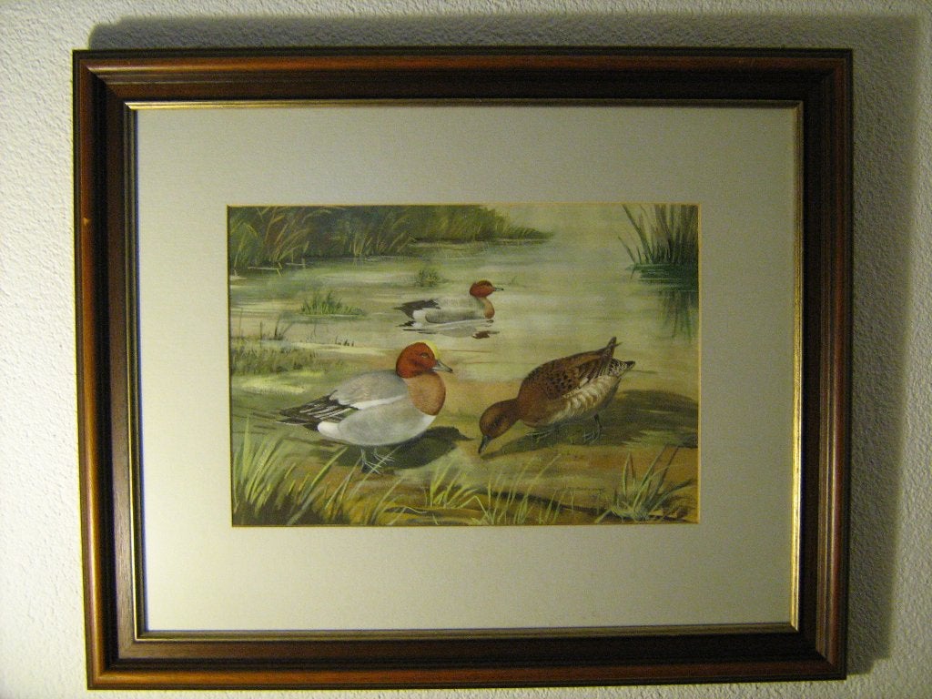 marius kolvoort smient eend jacht jachthut mancave waterwild, Realistisch, Dieren, Ophalen of Verzenden, Aquarel