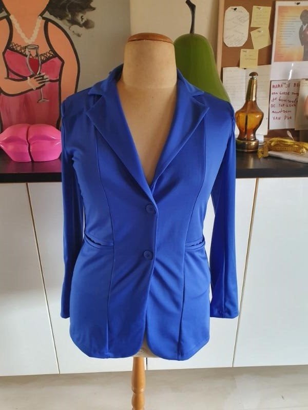 Nieuw! heel mooi blauw jasje maat L!, Kleding | Dames, Maat 42/44 (L), Nieuw, Jasje, Verzenden
