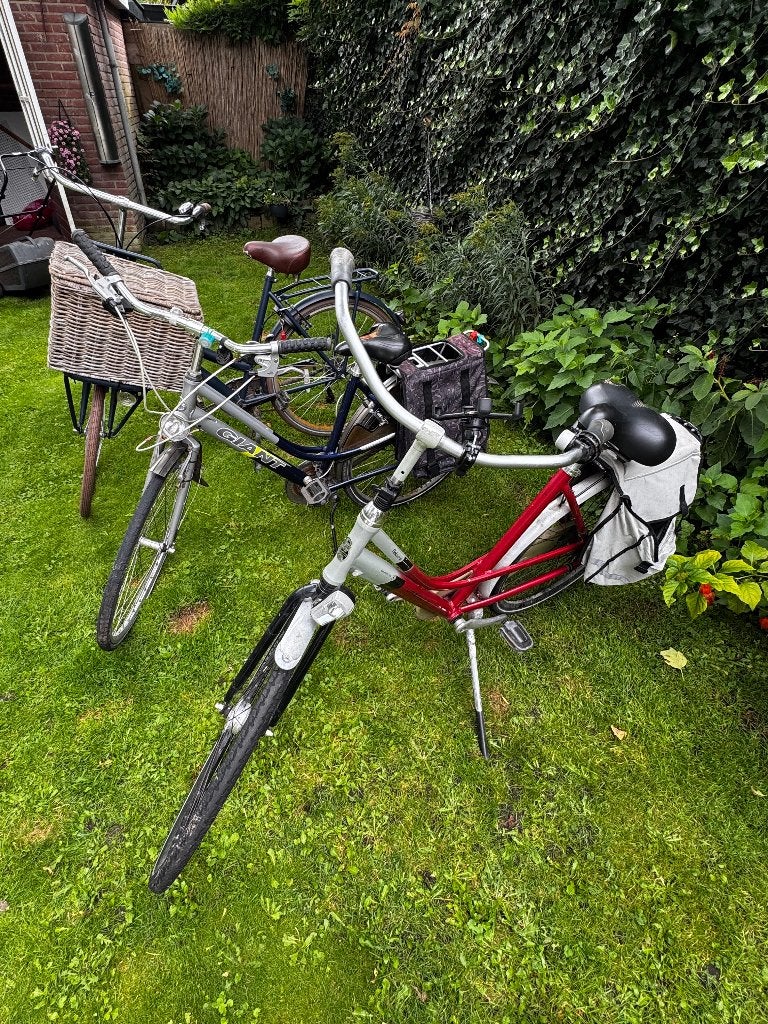 Damesfietsen met en zonder versnellingen, Velgrem, Versnellingen, Ophalen, Overige merken