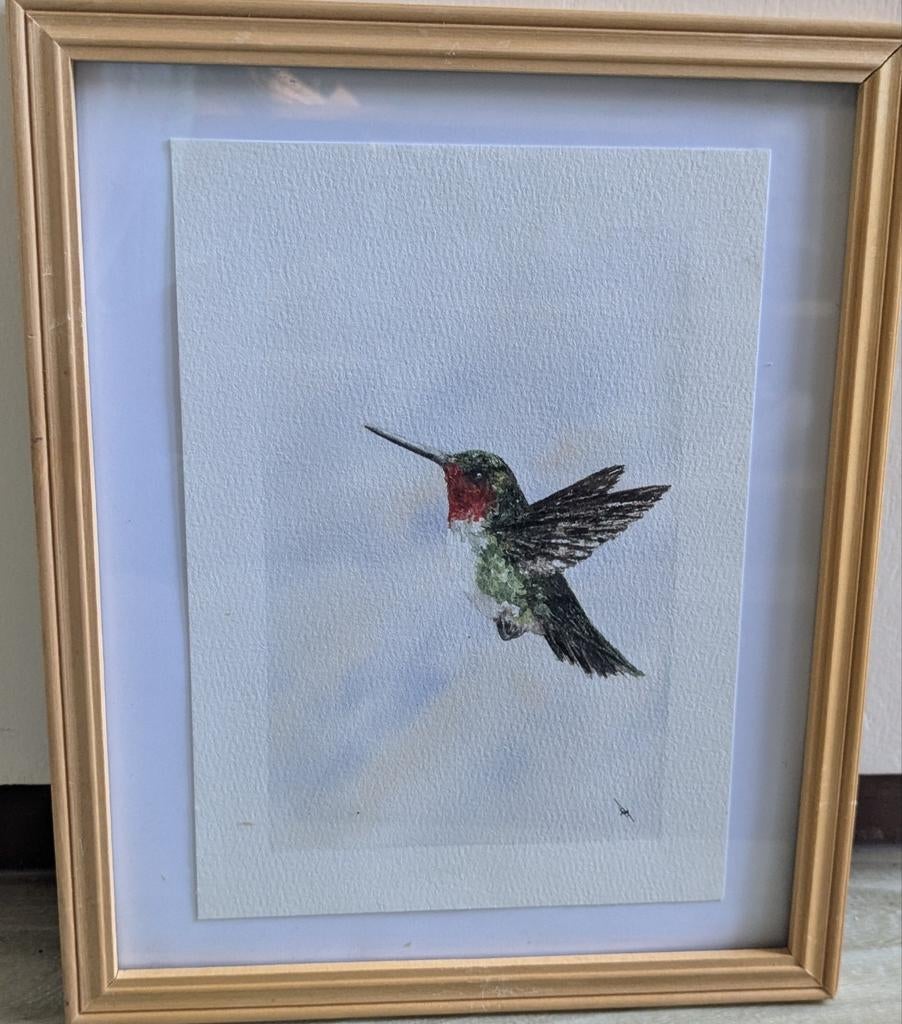 Ingelijste Kolibrie Aquarel - Handgeschilderd Kunstwerk, Ophalen of Verzenden