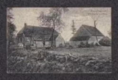 Nieuw-Dordrecht Drentsche Boerderij Houtwal., Ophalen of Verzenden, Voor 1920, Ongelopen, Drenthe