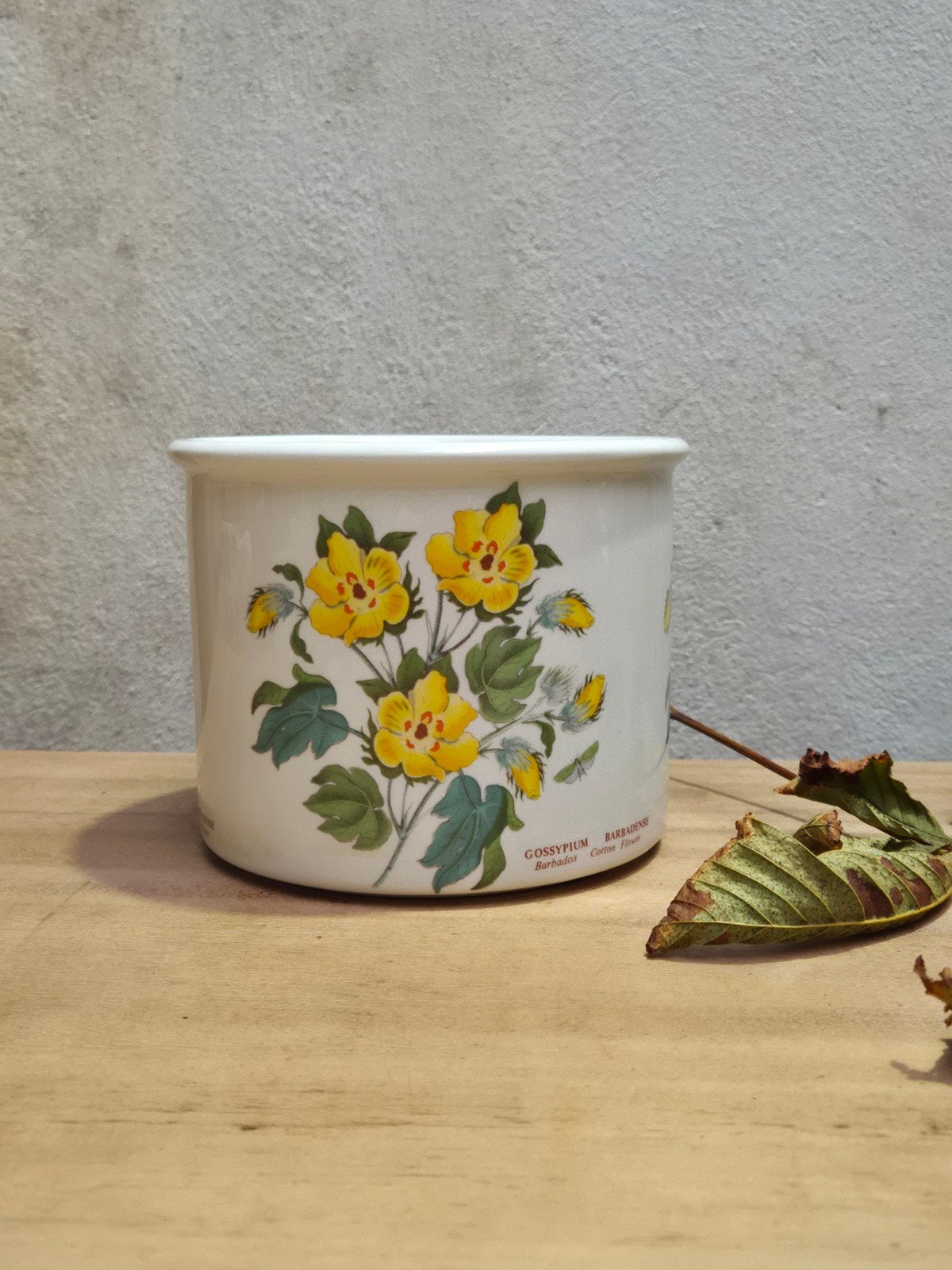 Portmeirion Botanic Garden Bloempot – Gossypium Barbadense, Ophalen of Verzenden
