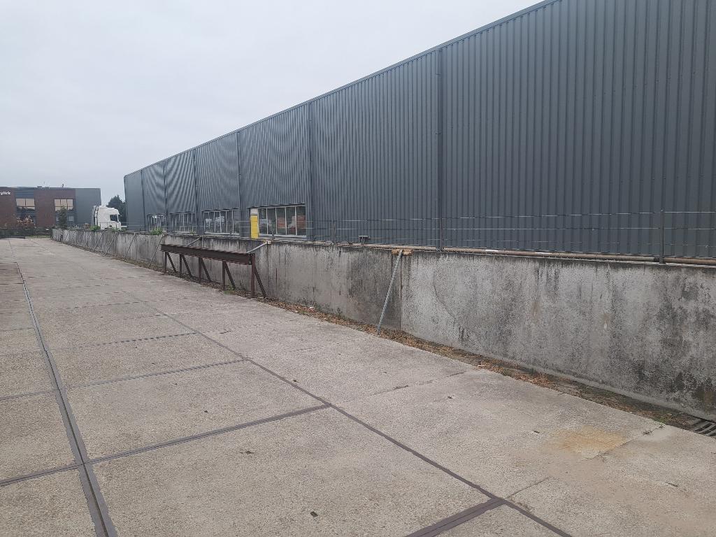 betonwanden, betonelementen 5x1,3x0.1 15 stuks! GRATIS, Tuin en Terras, Tegels en Klinkers, Ophalen, Gebruikt, Overige typen, 10 m² of meer