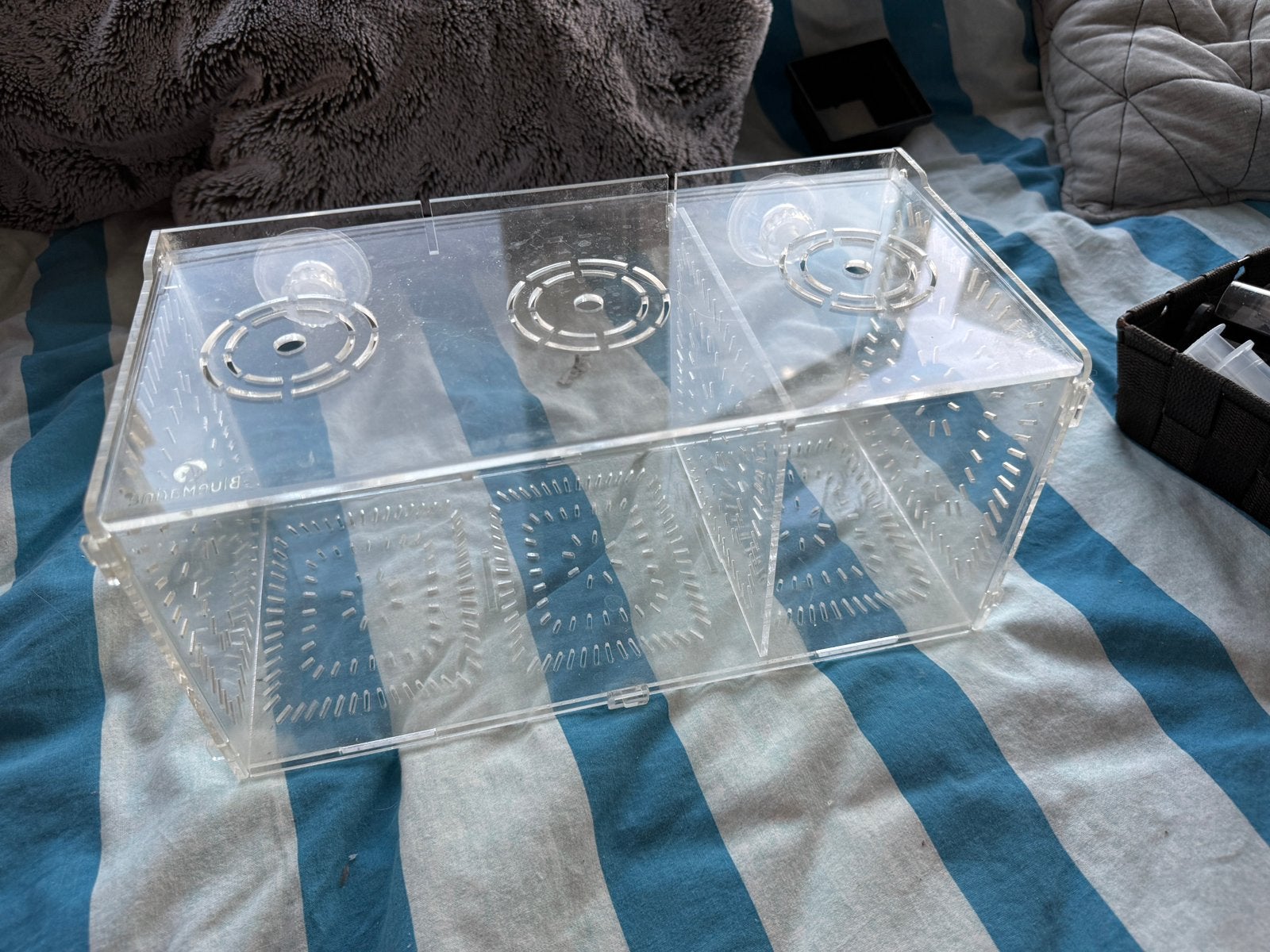 Acrylic wenbak, Dieren en Toebehoren, Vissen | Aquaria en Toebehoren, Ophalen of Verzenden, Zo goed als nieuw