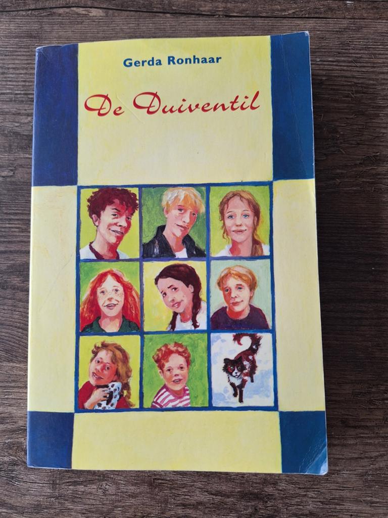 De Duiventil - Gerda Ronhaar, Boeken, Kinderboeken | Jeugd | onder 10 jaar, Gelezen, Fictie algemeen, Ophalen of Verzenden