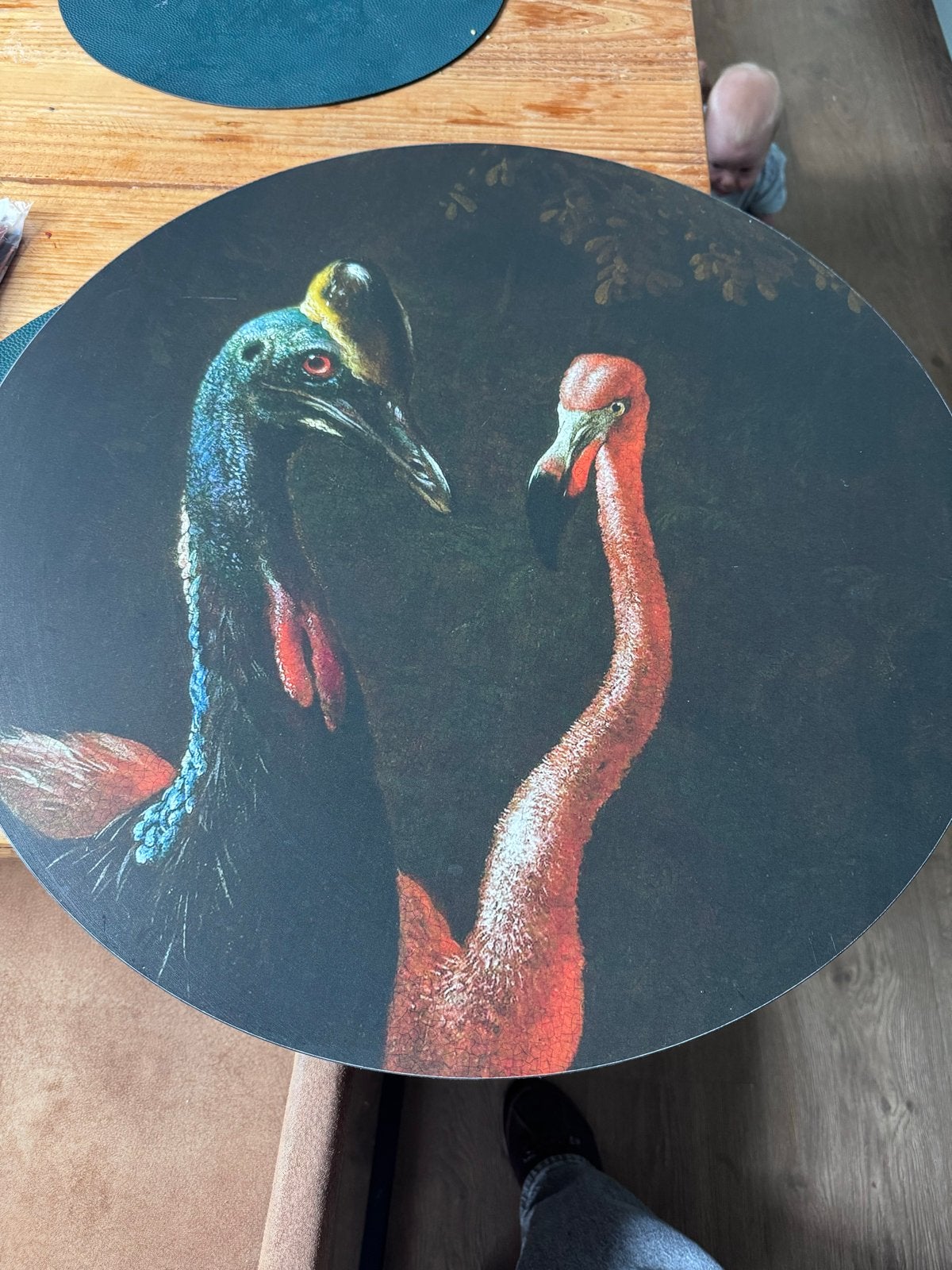 Magneetbord 60 cm met exotische vogels, Metaal, Gebruikt, Meerkleurig, Ophalen of Verzenden