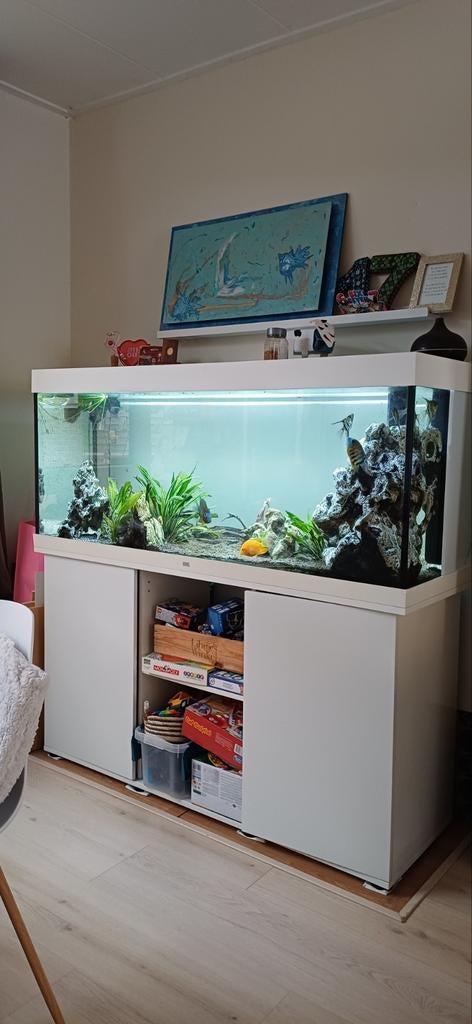 Aquarium, Ophalen of Verzenden, Leeg aquarium