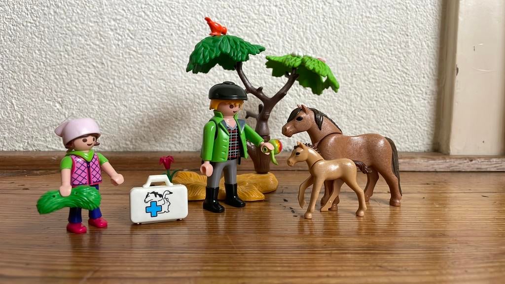 Playmobil paarden dokter, Ophalen of Verzenden, Zo goed als nieuw