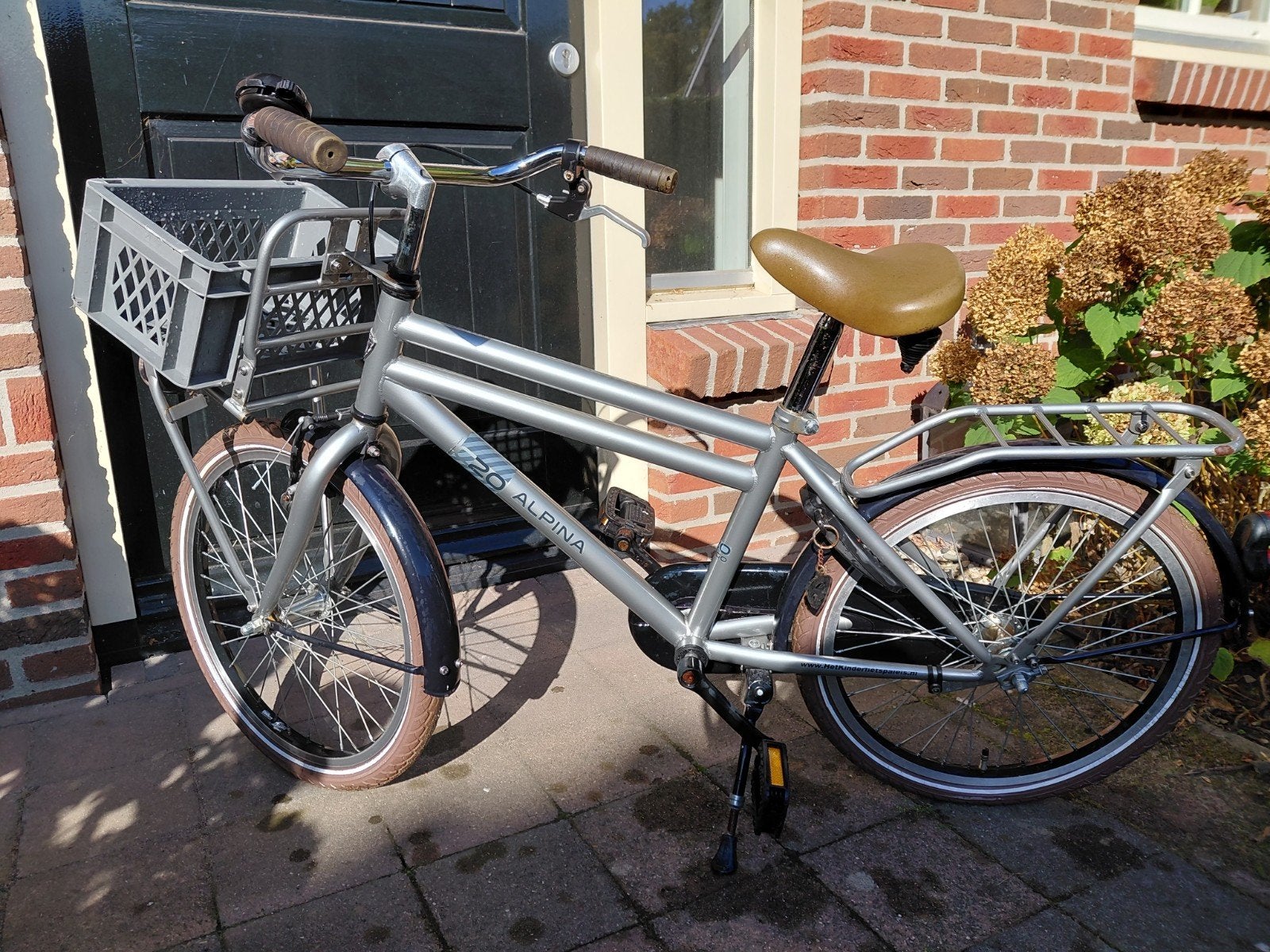 Alpine cargo 20 inch jongensfiets, Fietsen en Brommers, Ophalen, Gebruikt, Overige merken