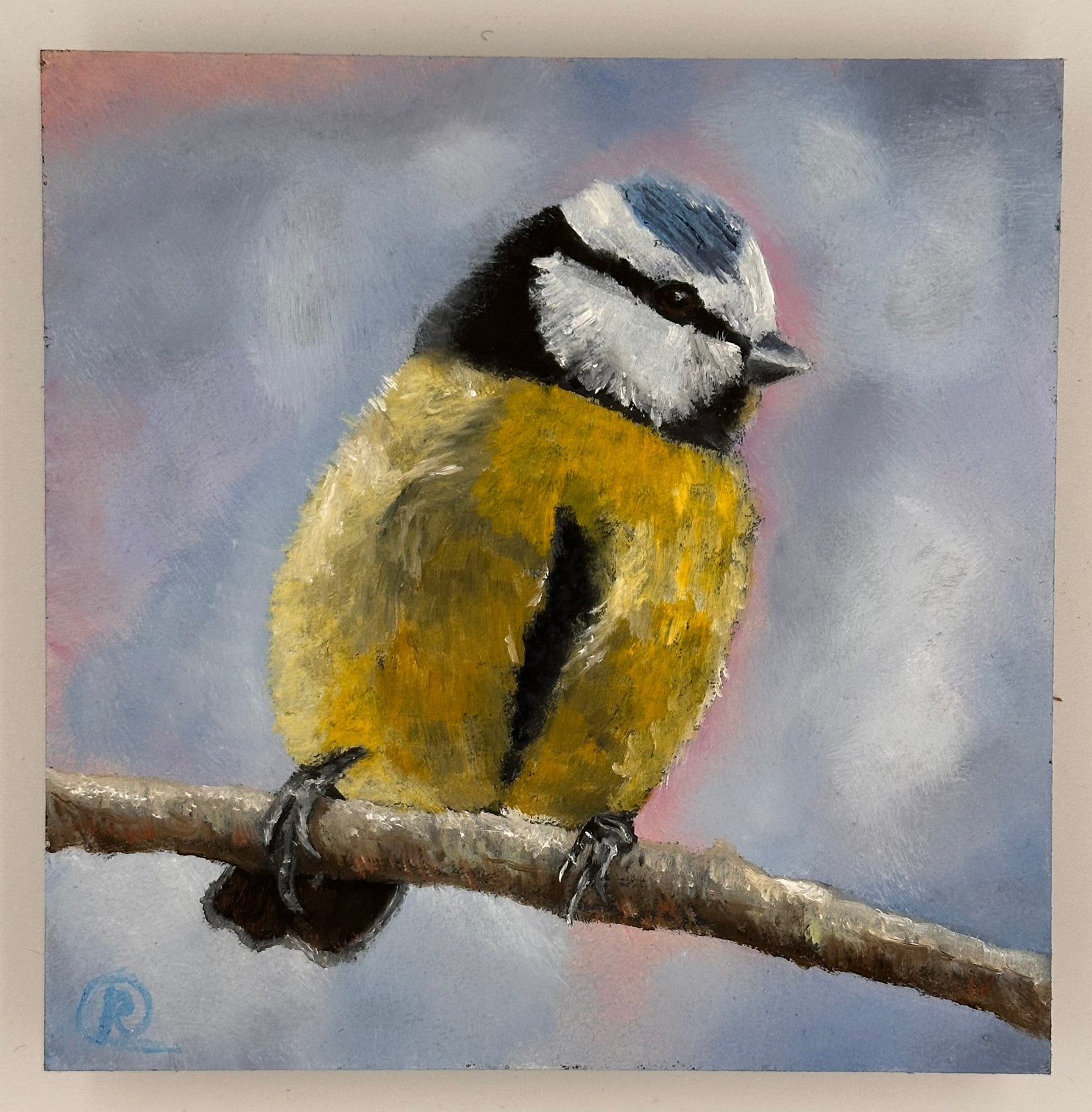 Pimpelmees vogel, Ophalen of Verzenden, Dieren, Olieverf, Overige materialen