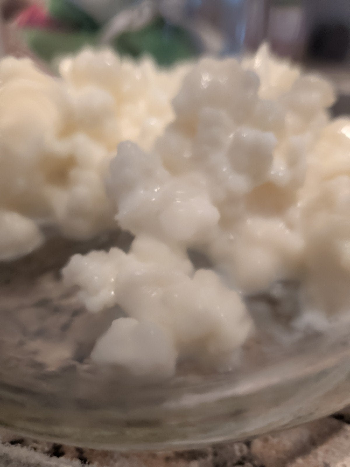 verse Kefir korrels, Ophalen of Verzenden