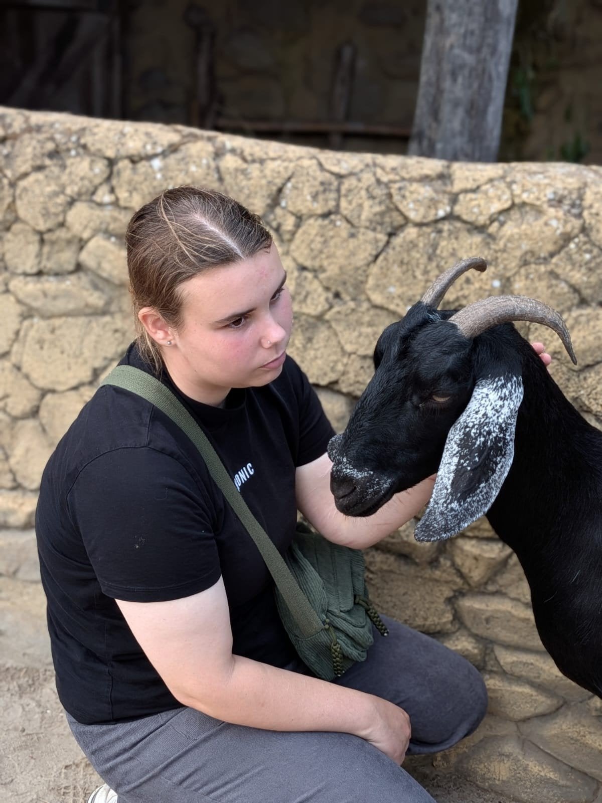 oude dierenspullen, Dieren en Toebehoren, Ophalen of Verzenden, Overige soorten