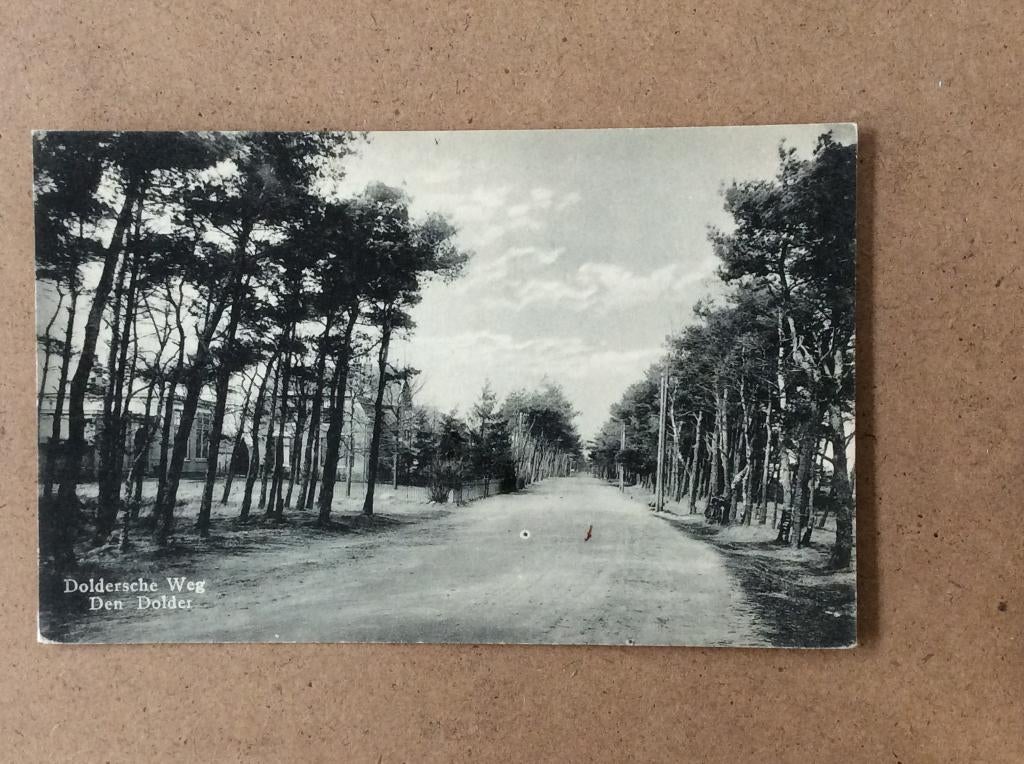 Den Dolder, Doldersche Weg, Ophalen of Verzenden, 1920 tot 1940, Ongelopen, Utrecht