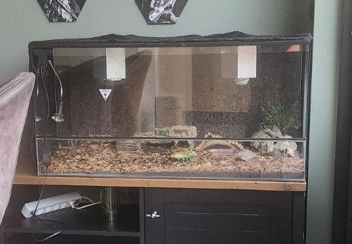 Gratis Terranium 1 meter breed, Dieren en Toebehoren, Ophalen