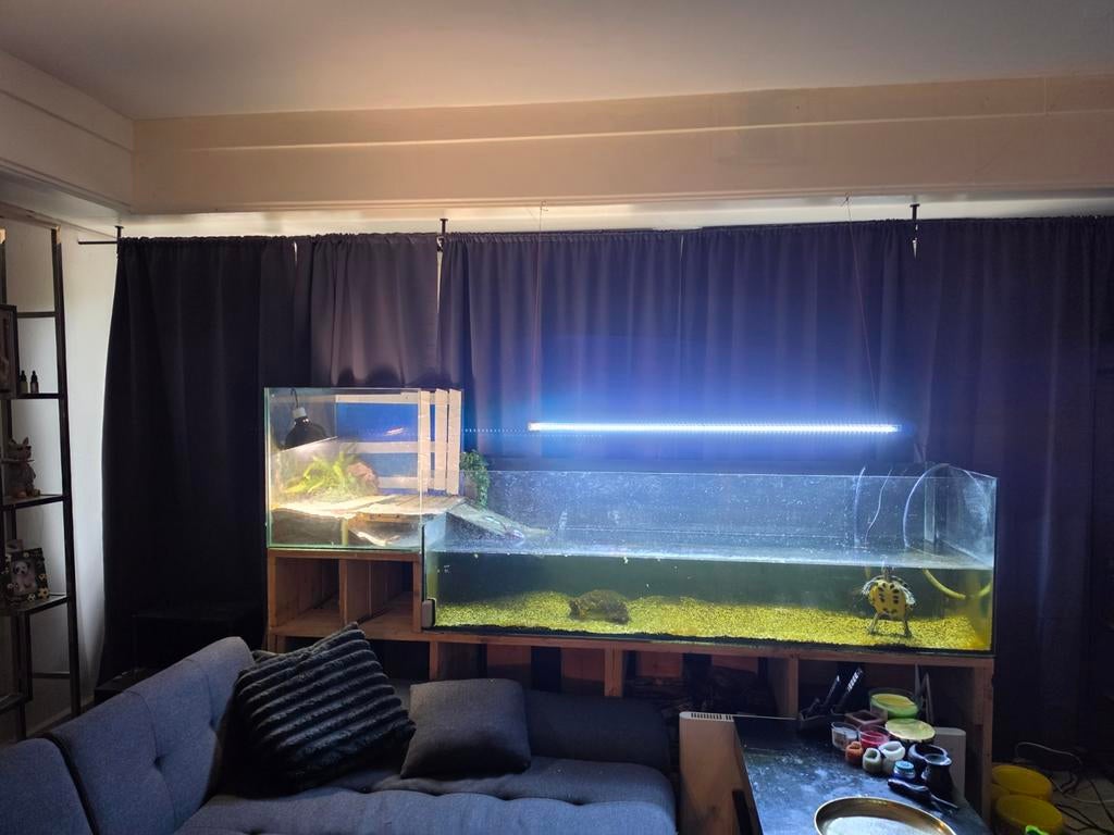 Schildpadden aquarium, Dieren en Toebehoren, Ophalen, Leeg aquarium