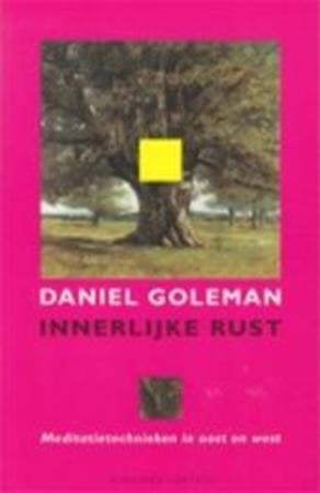 Daniel Goleman, Ophalen of Verzenden, Zo goed als nieuw, Spiritualiteit algemeen, Overige typen