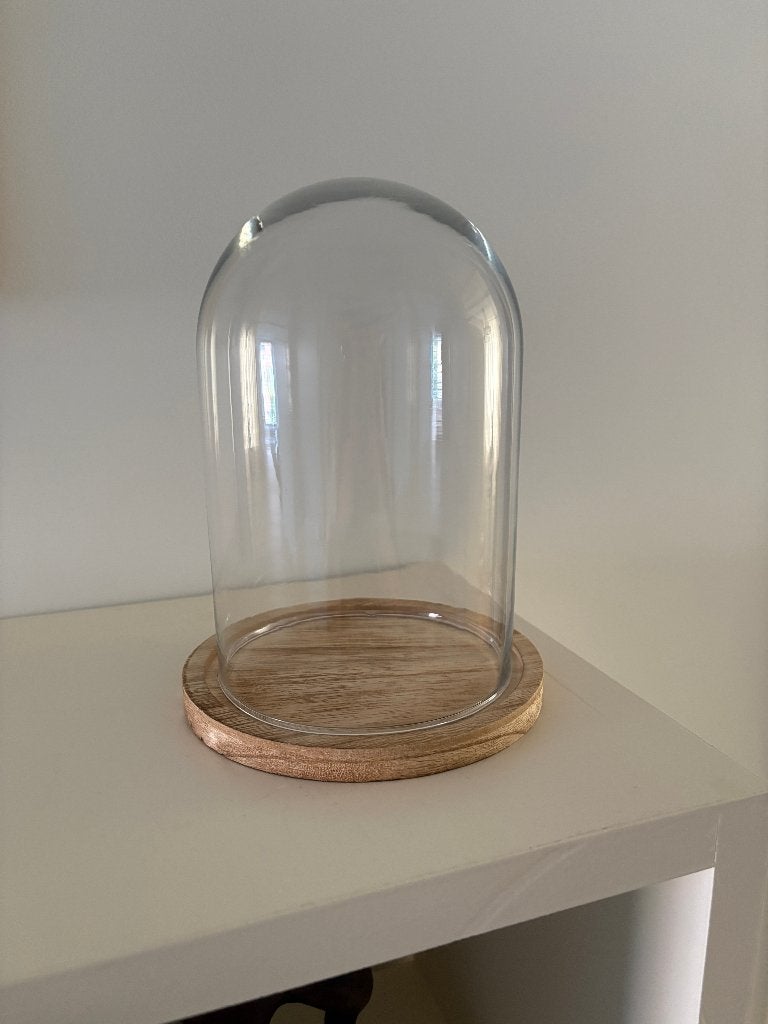 Stolp op licht houten onderstel (glazen stolp), Ophalen, 14 cm, Zo goed als nieuw, Met plateau