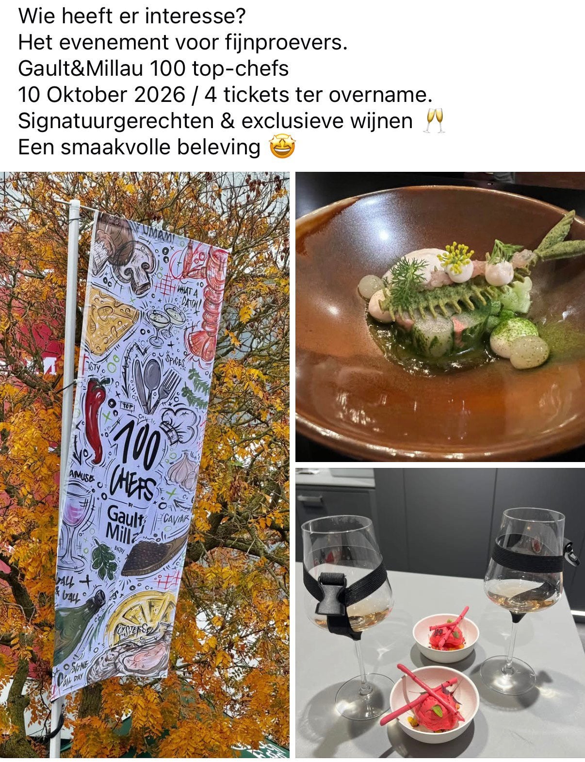 4 early bird tickets Gault & Millau 10 okt., 33 - 40 uur, Overige niveaus, Overige vormen