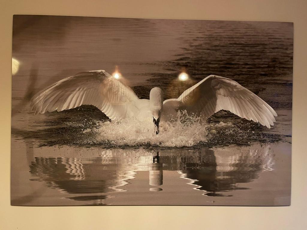 Kunstwerk Zwaan - 180x120cm - beige, grijs, sepia, Ophalen, Zo goed als nieuw