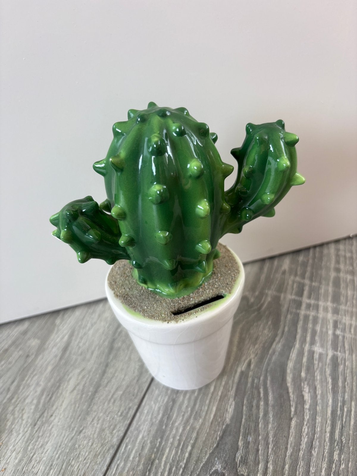 Cactus Spaarpot, Ophalen of Verzenden, Zo goed als nieuw, Steen, Aardewerk of Keramiek, Overige thema's
