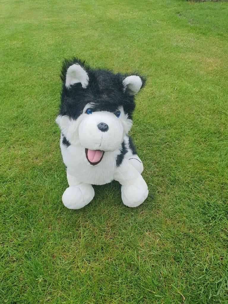Grote husky speelgoed knuffel 48 cm, Ophalen of Verzenden, Zo goed als nieuw, Overige typen