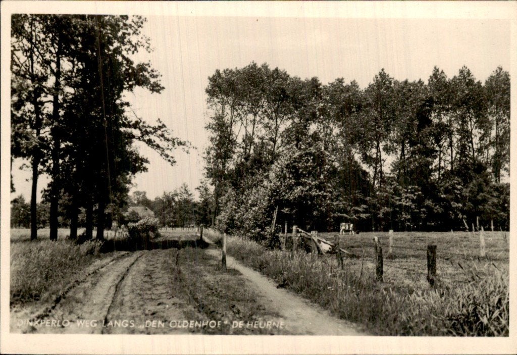 Dinxperlo - Weg langs den Oldenhof - De Heurne, Ophalen of Verzenden, 1920 tot 1940, Ongelopen, Gelderland