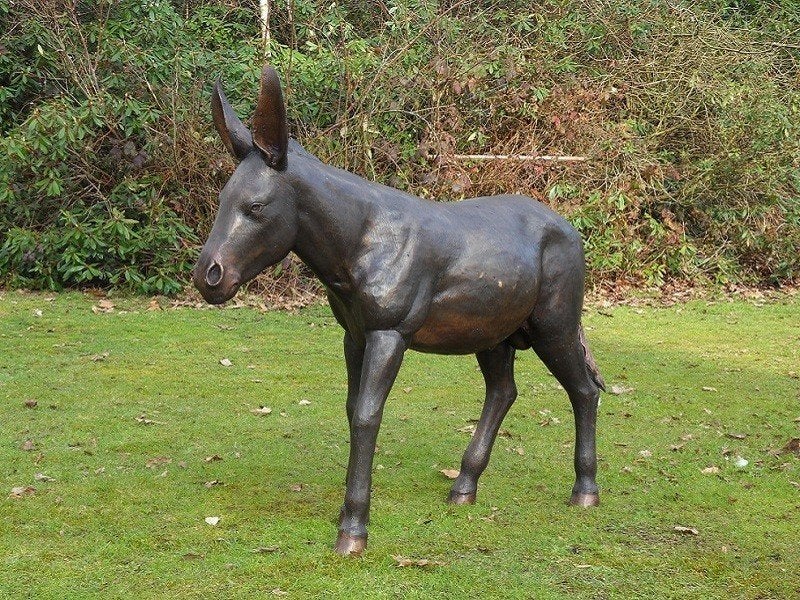 EZEL / BRONZEN TUINBEELDEN / Brons, Tuin en Terras, Dierenbeeld, Nieuw, Info@huisentuindecoratiemarie.nl, Huis en tuin decoratie marie