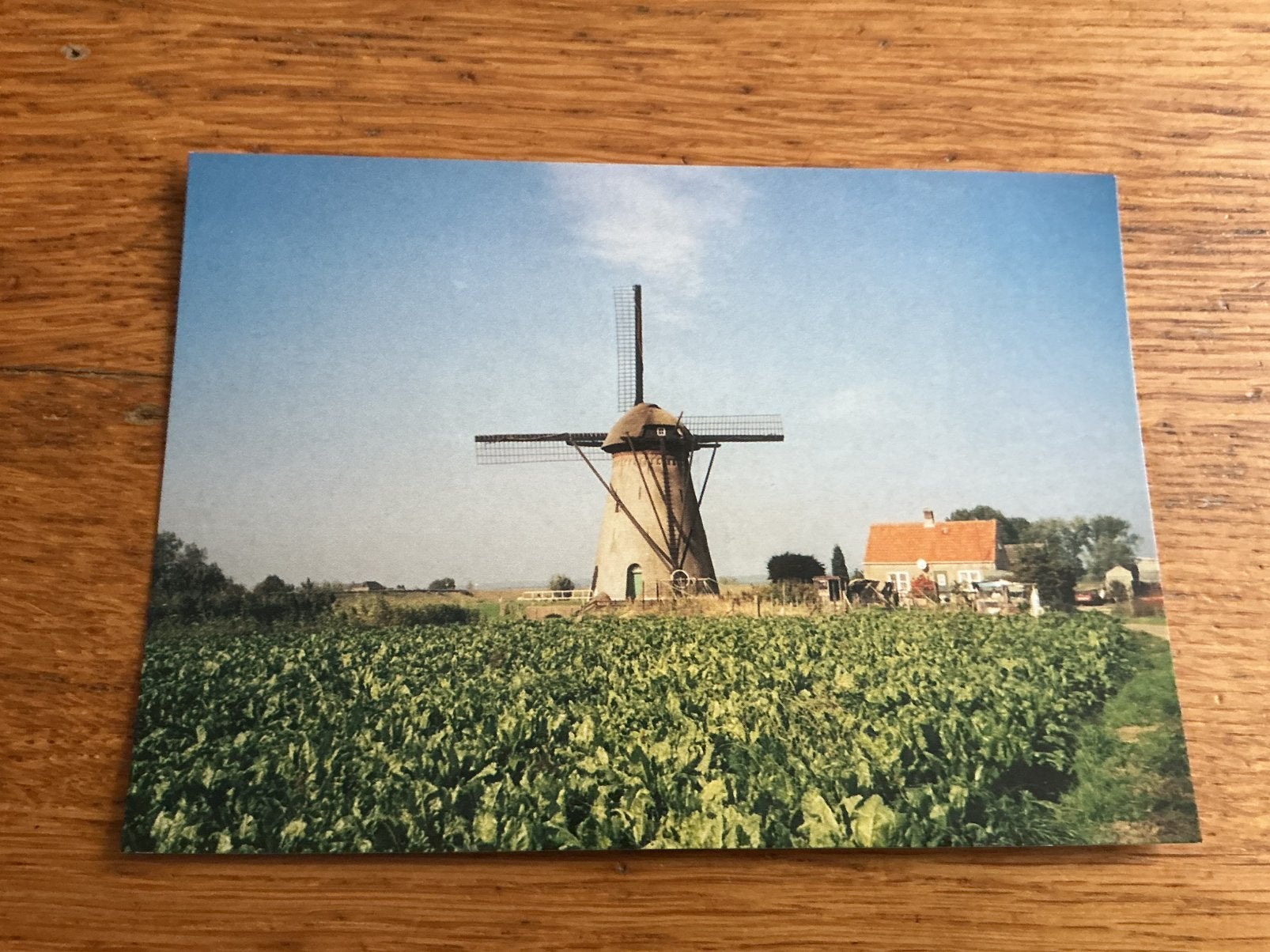 Y145 Lienden molen, Ophalen of Verzenden