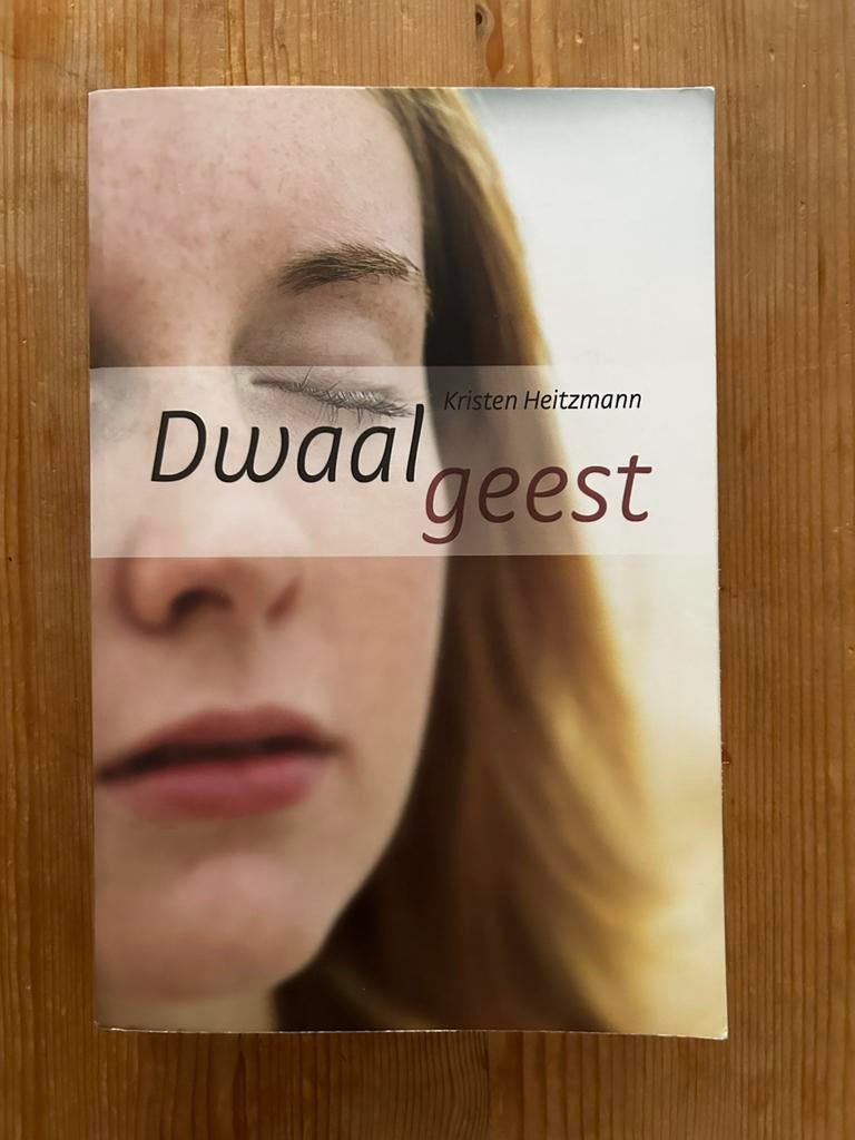 Kristen Heitzmann - Dwaalgeest, Boeken, Gelezen, Ophalen of Verzenden, Kirsten Heitzmann, Amerika