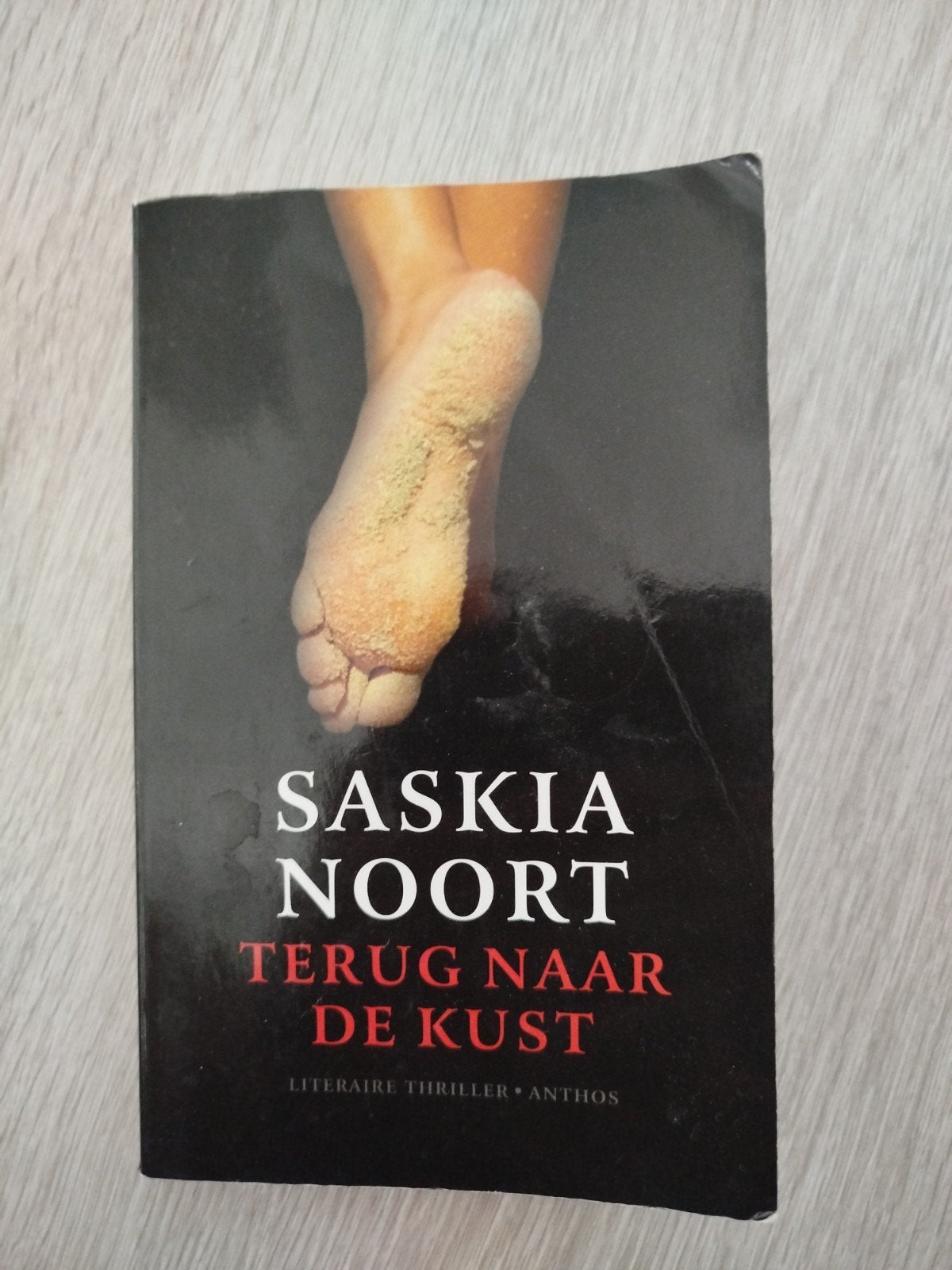 Saskia Noort - Terug naar de Kust (Literaire Thriller), Boeken, Ophalen of Verzenden, Gelezen, Saskia Noort, Nederland