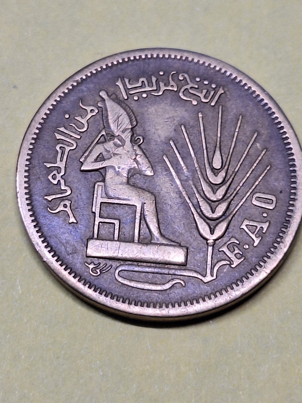 Egypte 10 milliemes 1976, Ophalen of Verzenden, Egypte