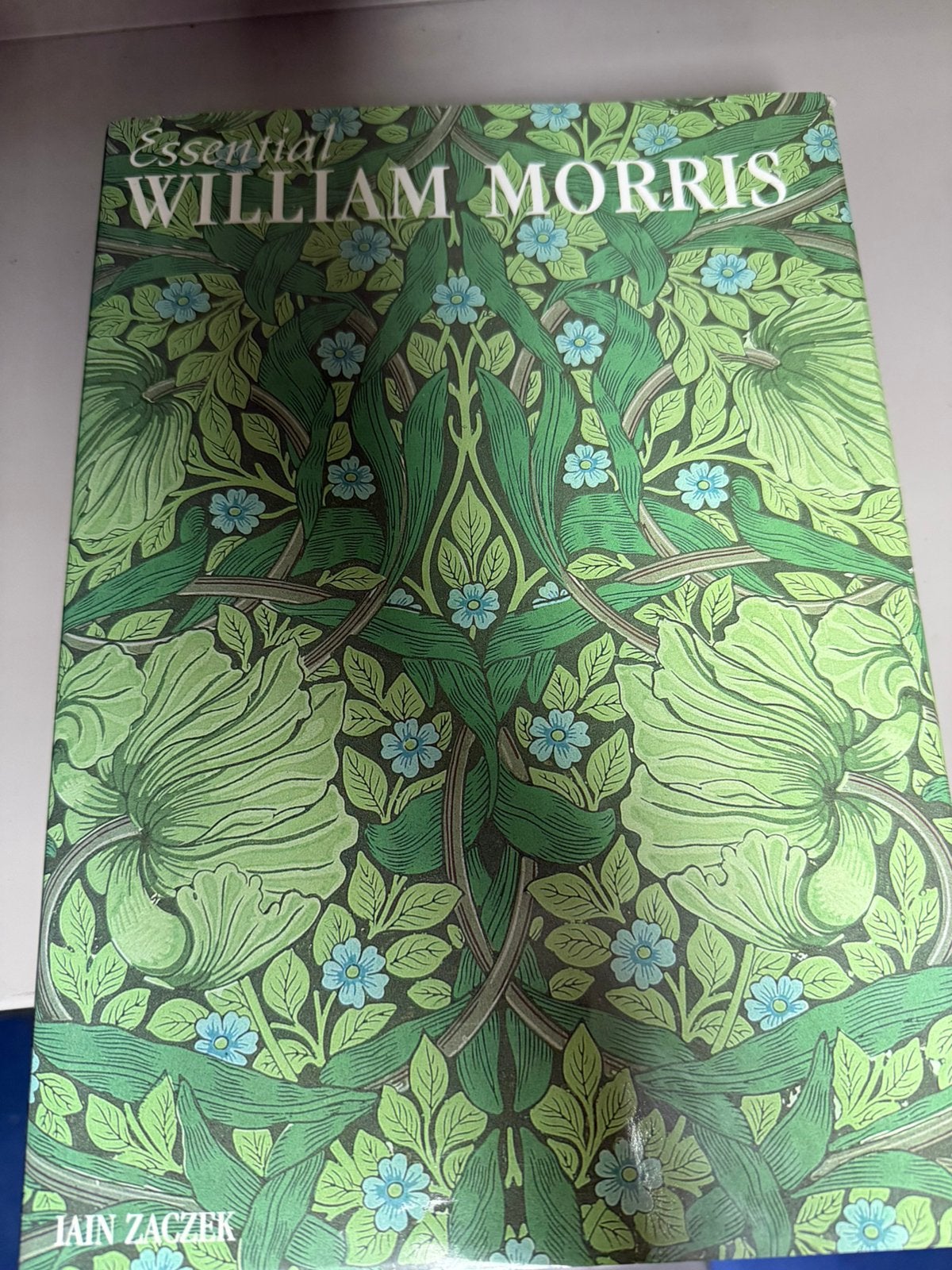 William Morris overzicht engelstalig, Ophalen of Verzenden, Zo goed als nieuw