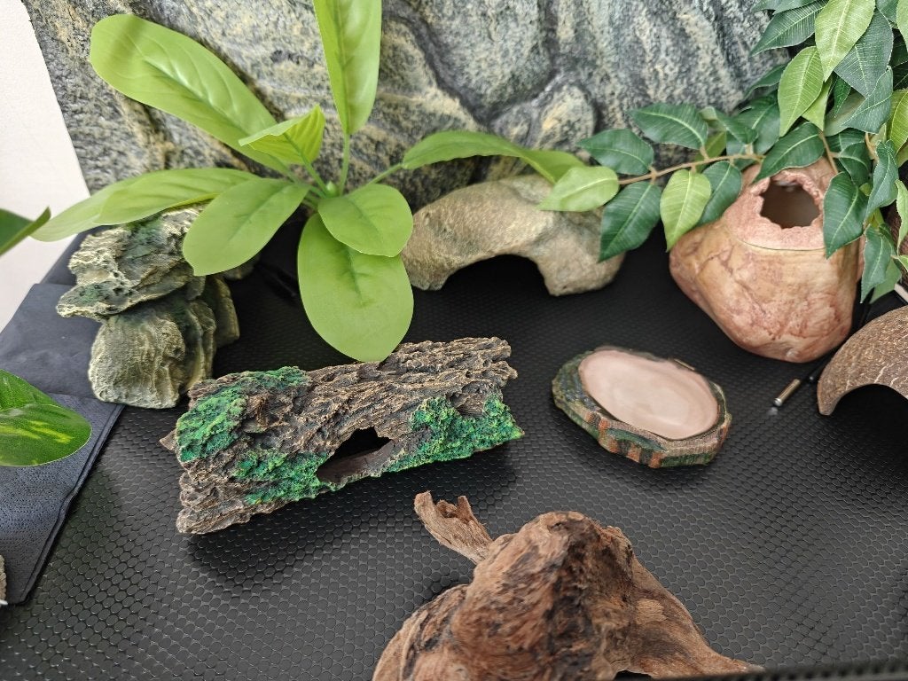 Luipaard gekko inclusief terarrium Leopard Gecko photo 14