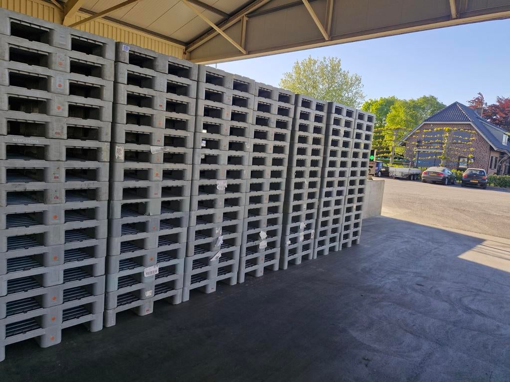 Plastic pallets te koop h1, Ophalen, Kunststof, Minder dan 3 meter