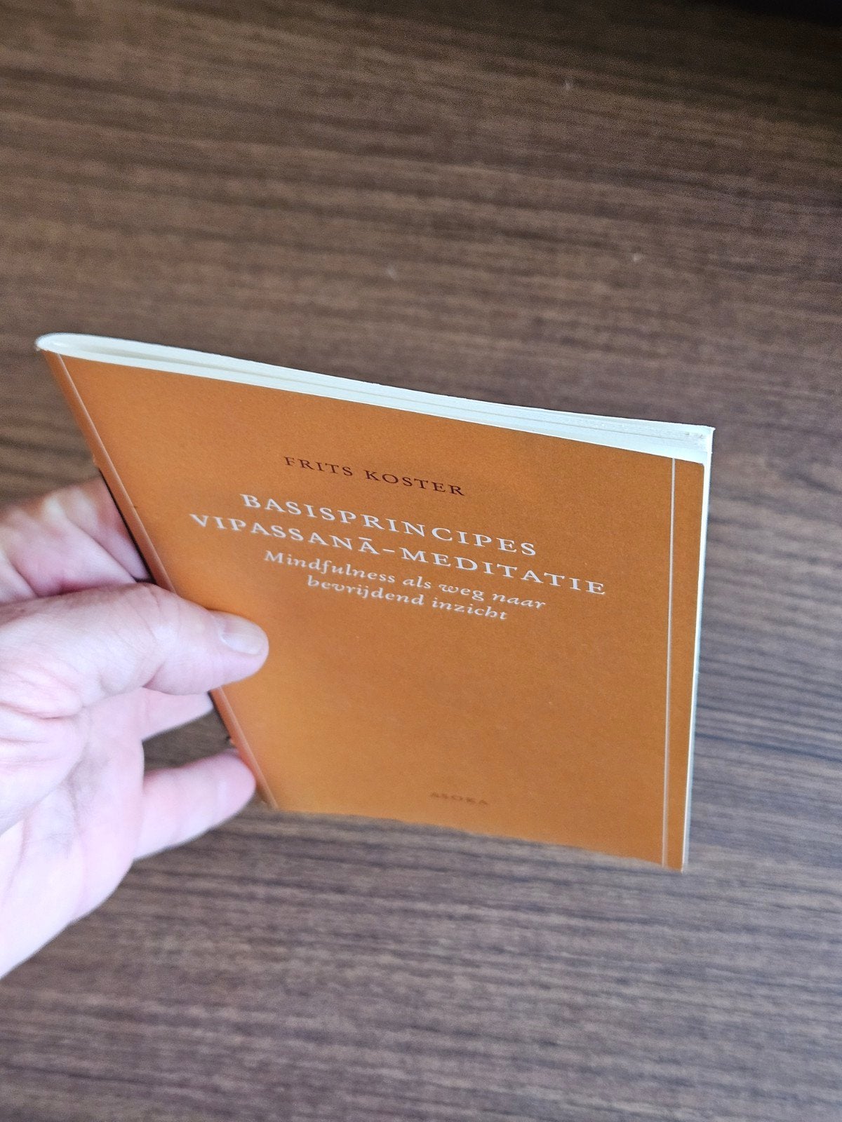 Frits Koster - Basisprincipes Vipassana-meditatie, Boeken, Verzenden, Frits Koster, Ontwikkelingspsychologie, Zo goed als nieuw