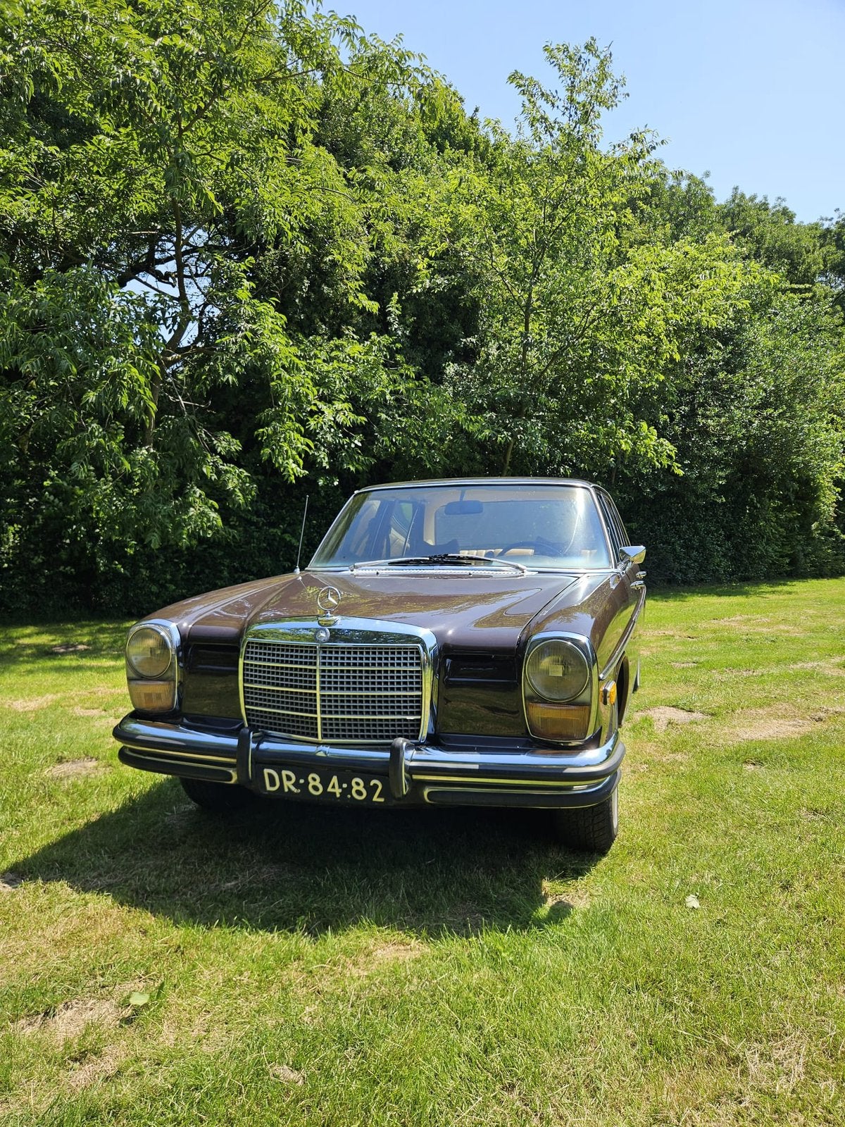 Mercedes-Benz 200-Serie 2.5 250 1972 Bruin, Auto's, Mercedes-Benz, Particulier, 200-Serie, Benzine, Sedan, Handgeschakeld, Geïmporteerd