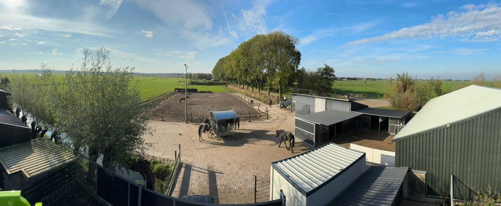 Plekje vrij voor ruin op paddock paradise, Dieren en Toebehoren, Paarden en Pony's | Overige Paardenspullen, Ophalen of Verzenden