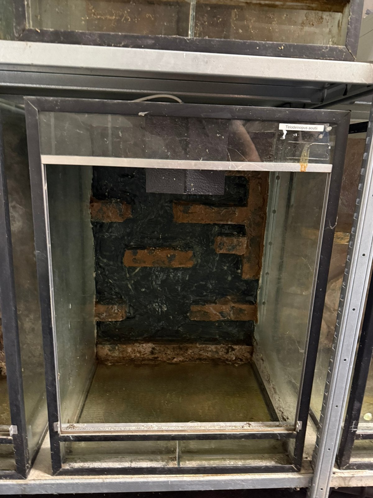 Terrarium 50x50x70 zonder ruitjes, Dieren en Toebehoren, Ophalen, Zo goed als nieuw, Terrarium of Paludarium