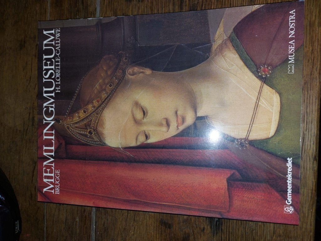 boek, Memling museum Brugge, Ophalen of Verzenden, Nieuw, Schilder- en Tekenkunst