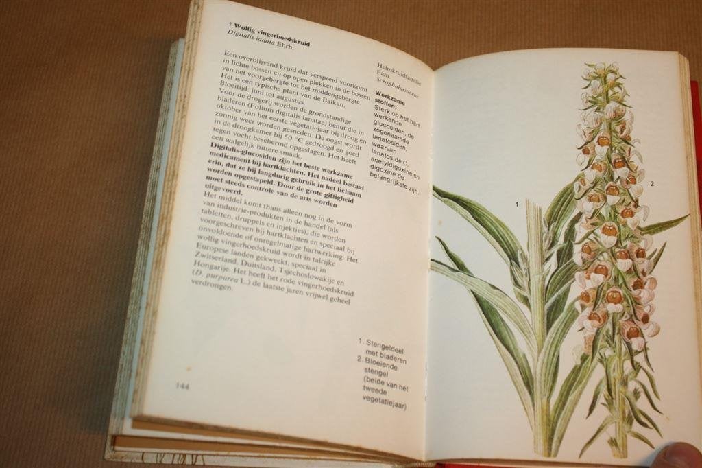 Boek over Geneeskruiden - Stary, Jirasek, Boeken, Ophalen of Verzenden, Gelezen