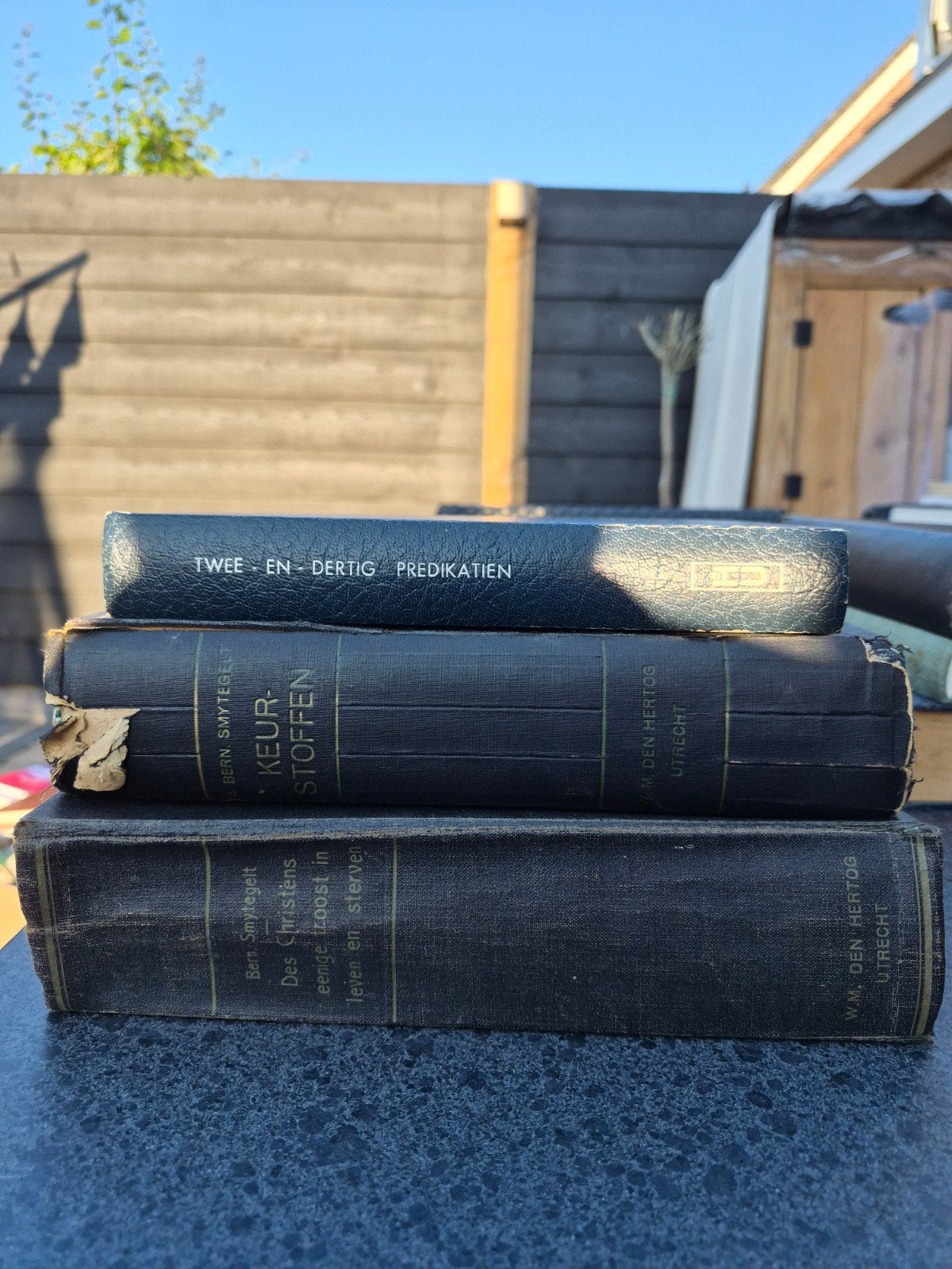 Set van 3 oude theologische boeken Ds. Bern. Smytegelt, Boeken, Ophalen of Verzenden, Gelezen, Ds. Bern. Smytegelt, Christendom | Protestants