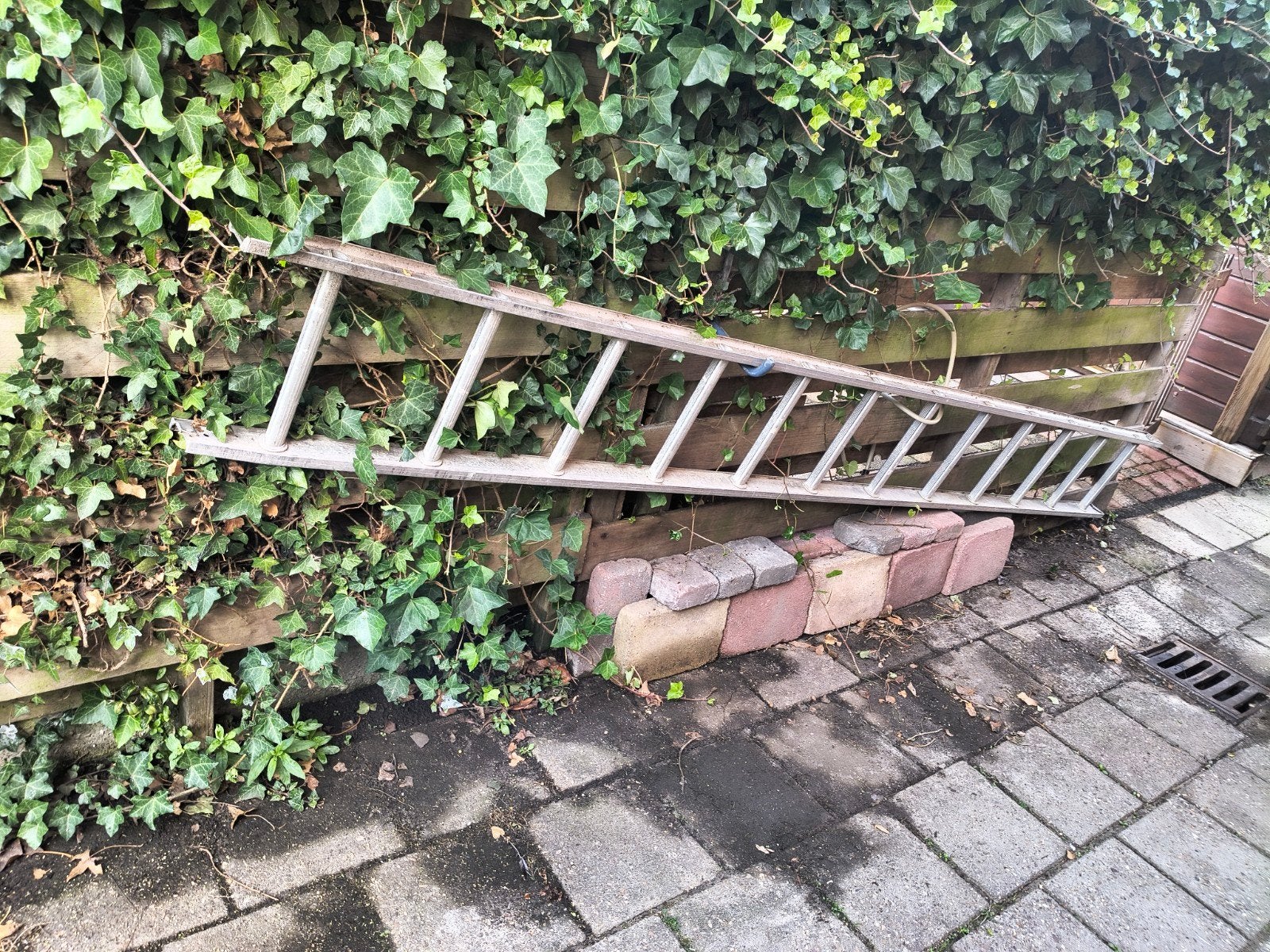 ladder met 12 treden, Ophalen, Gebruikt, Ladder, 2 tot 4 meter