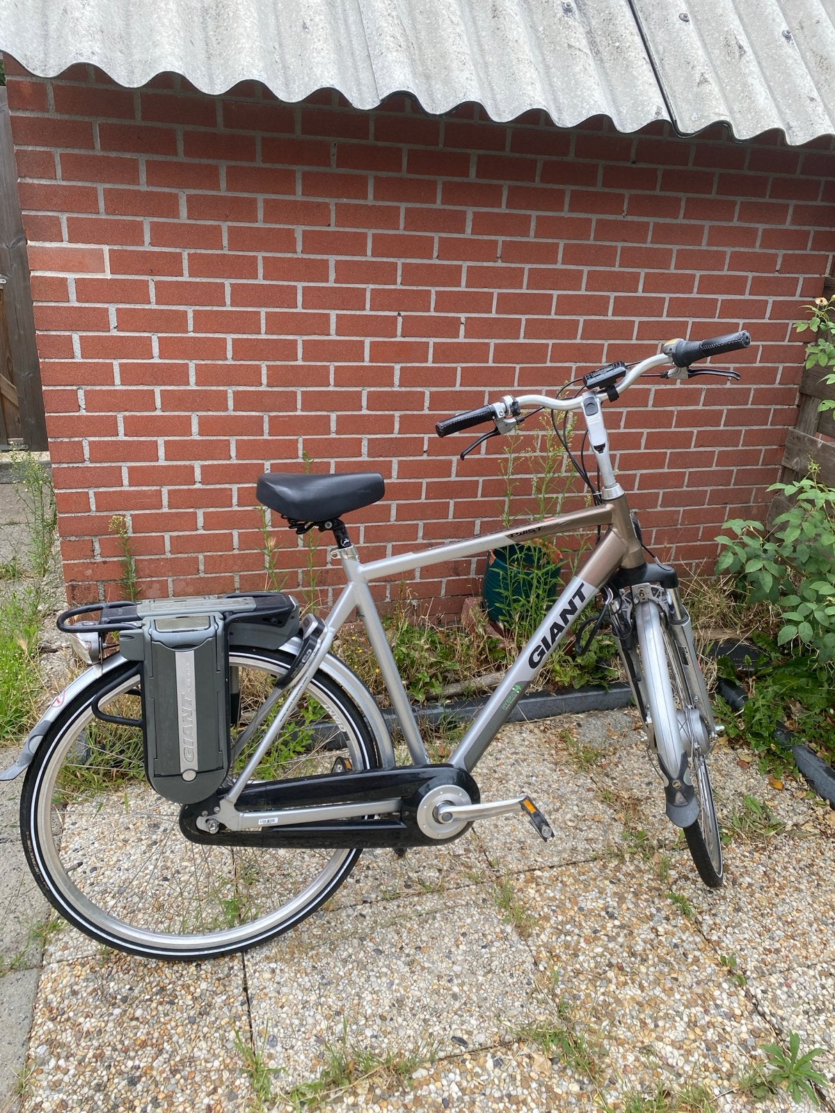 Giant Twist E-bike, Ophalen, Gebruikt, Giant, 59 cm of meer