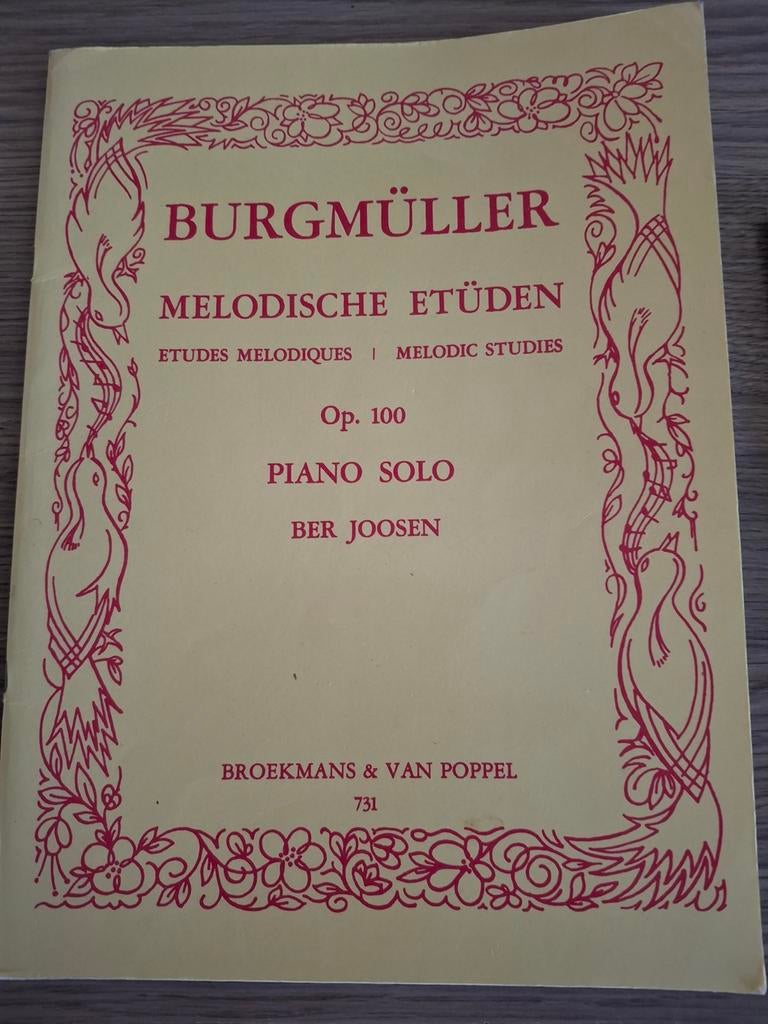 Muziekboek piano: Burgmuller, melodische etüden, Muziek en Instrumenten, Gebruikt, Klassiek, Ophalen of Verzenden, Artiest of Componist