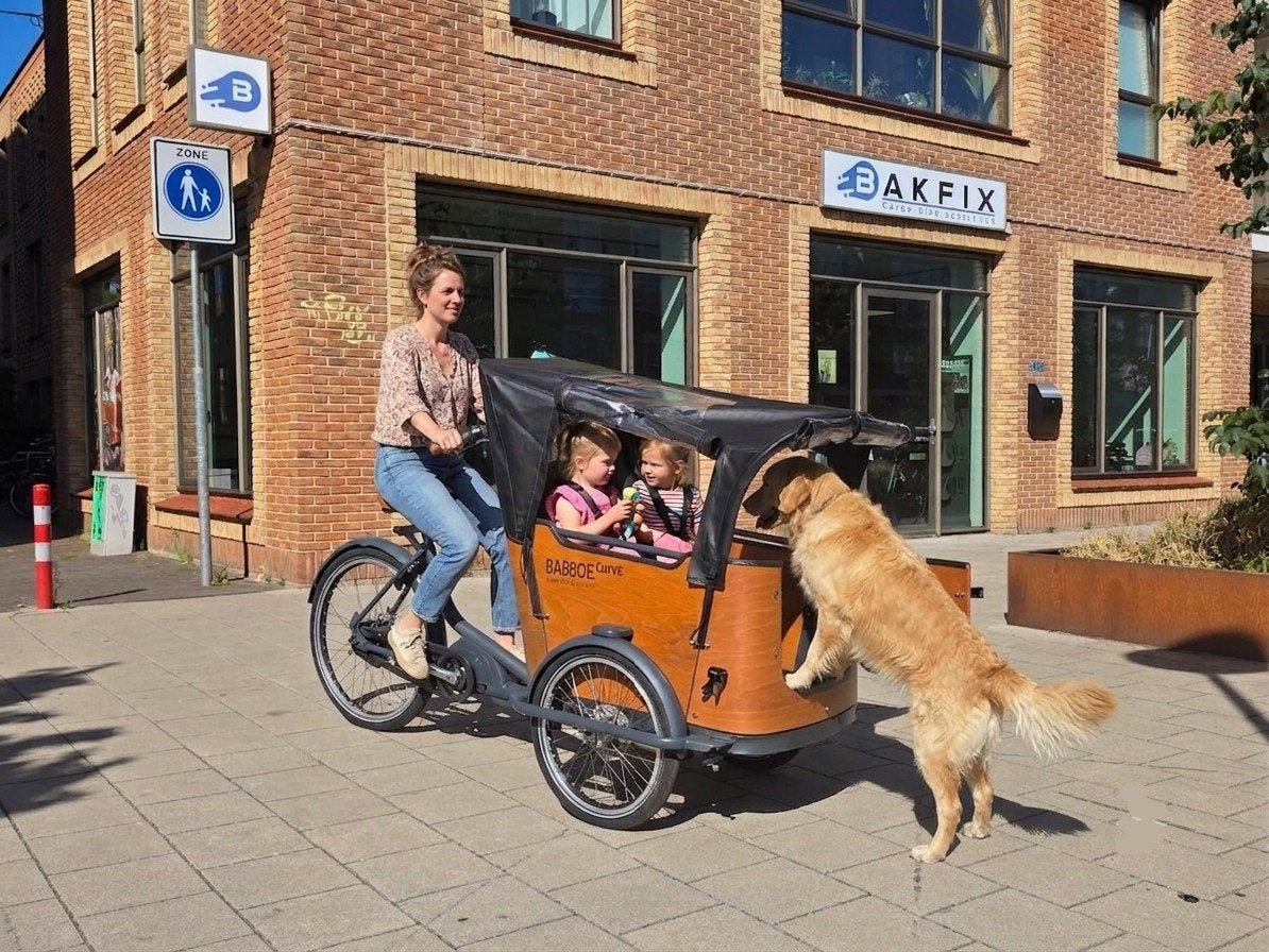 2dehands Babboe Curve Mountain Hondenbakfiets met Deurtje