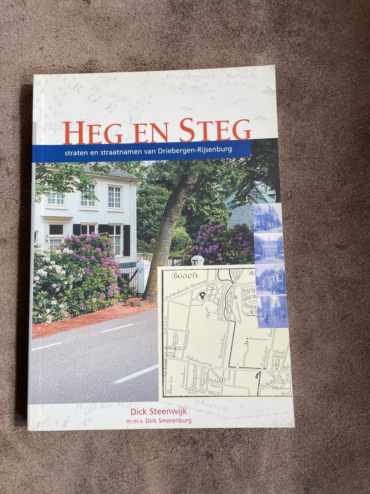 Heg en Steg: Straten en Straatnamen Driebergen-Rijsenburg, Boeken, Geschiedenis | Stad en Regio, Ophalen of Verzenden, 20e eeuw of later