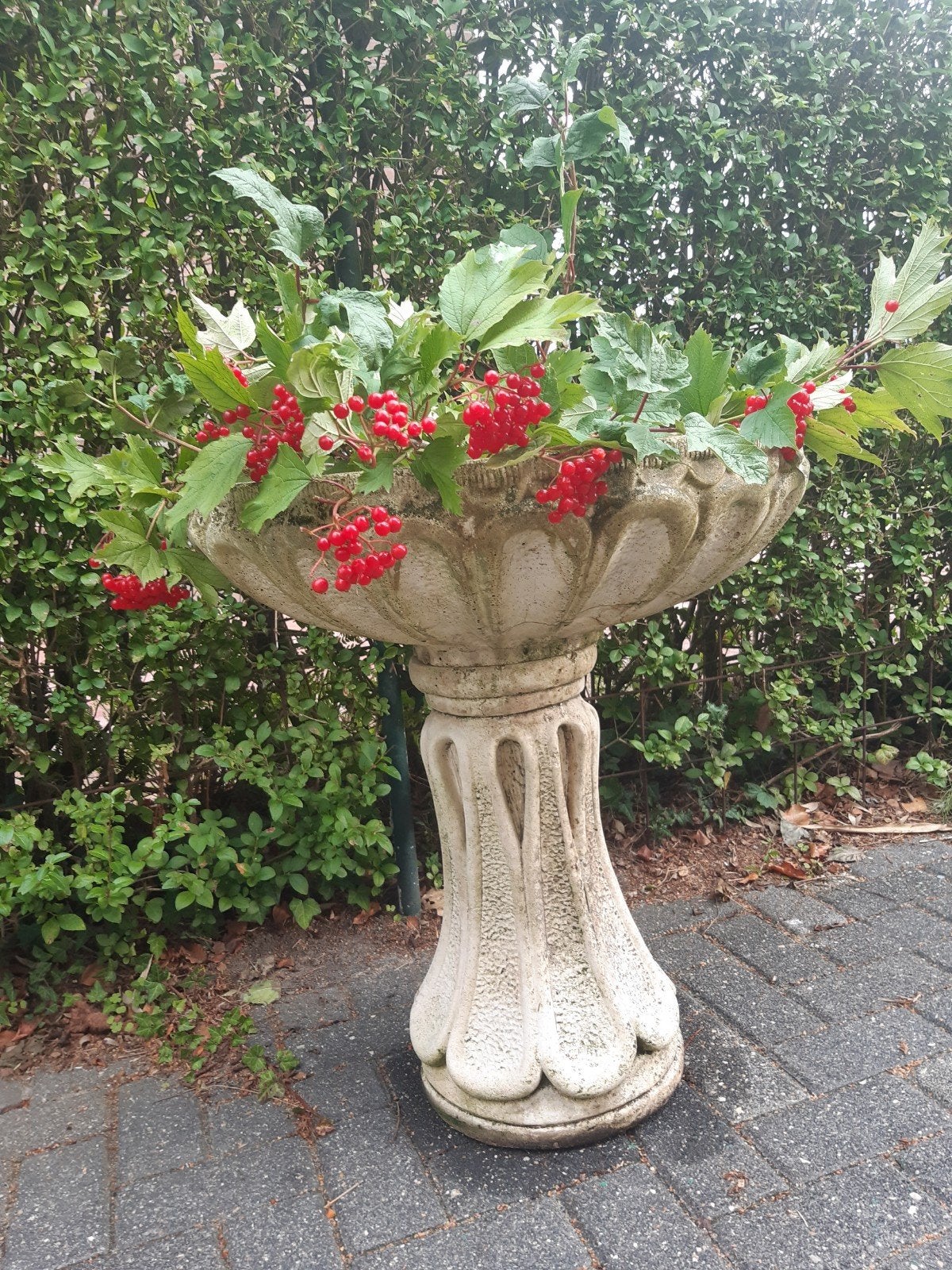 fontein schaal of planten schaal, Tuin en Terras, Ophalen, Gebruikt, Rond
