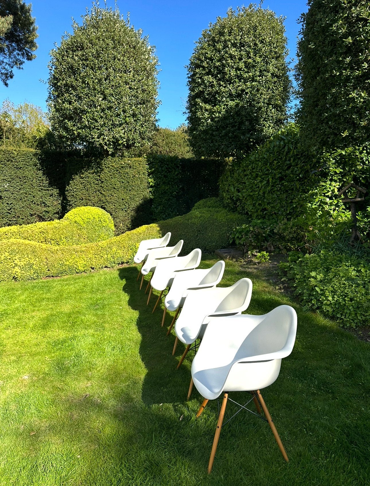 Vitra Eames Daw stoelen 2-4-6of 8 stuks wit/lichte esdoorn, Gebruikt, Vijf, Zes of meer stoelen, Ophalen, Hout
