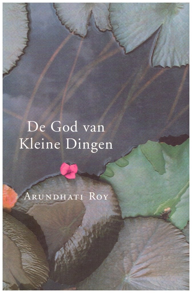 De God van Kleine Dingen, Arundhati Roy, Roman, 1997, 337 bl, Boeken, Gelezen, Wereld overig, Arundhati Roy, Ophalen of Verzenden
