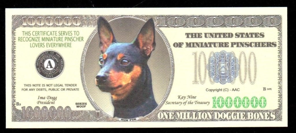 Curiosa Biljet USA - HONDEN - MINIATURE PINSCHER., Ophalen of Verzenden, Noord-Amerika, Los biljet